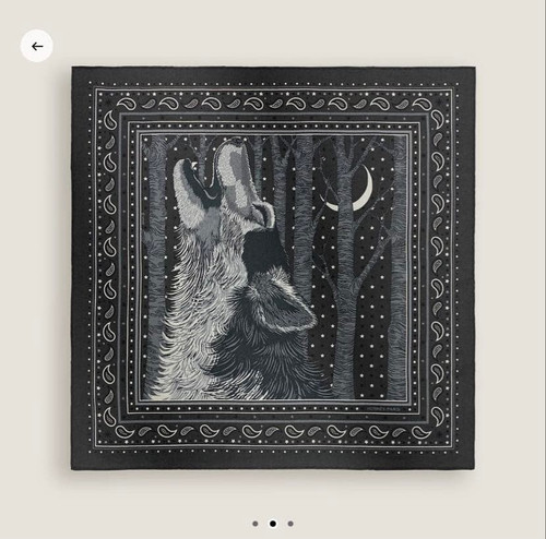 Hermes awooooo sciarpa - hermes,