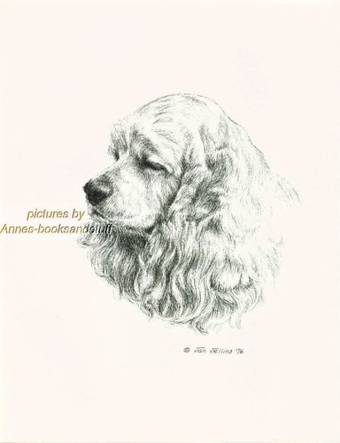 124 golden cocker spaniel - #124,