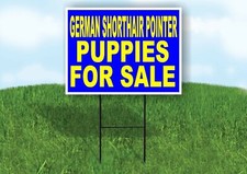 German Shorthair Pointer