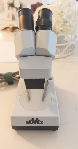 Microscopio novex usato - microscopio,