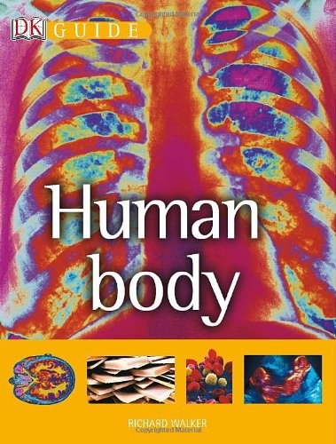 Guide the human body - to, body: