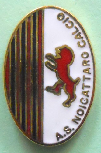 Distintivo spilla pin badge - badge,
