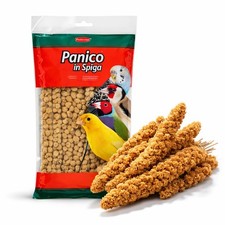 Spighe di Panico per
