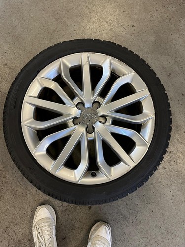 Cerchi gomme audi a6 - e,