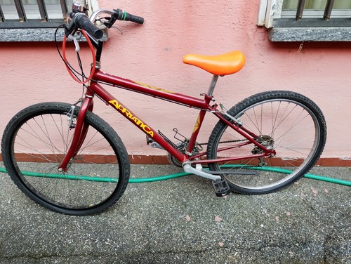 Bicicletta mountain bike donna - mountain,
