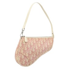 Christian Dior Trotter Canvas