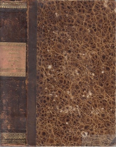 Buch welt gemälde - buch:, welt-gemälde-gallerie