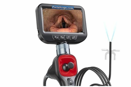 Videoendoscopio equino per vie
