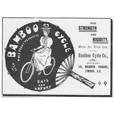 BAMBOO CYCLE CO LTD -