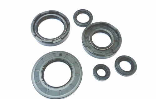 Kit guarnizioni olio motore