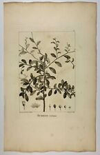 Pancrace Bessa (1772-1846)