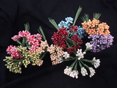 Berry lucidi fiori - 12,