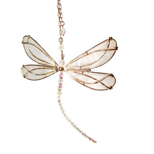 Libellula acchiappasole - libellula,