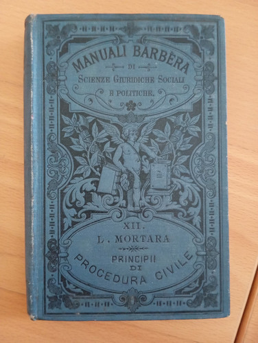 Principi procedura civile - principi,