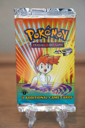 Pokémon tcg gym - pokémon,