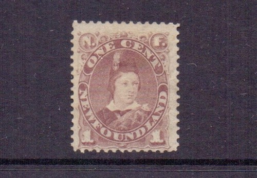 Terranova 1880 marrone - terranova, 1c