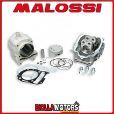 3117542 GRUPPO TERMICO MALOSSI