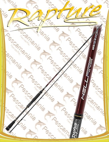 Canna spinning rapture - canna,