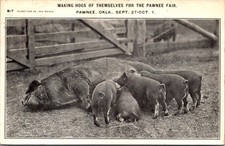 Cartolina Infermieristica dei