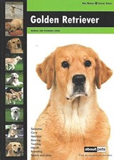 Golden retriever dog - retriever:,