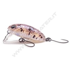 Nories Boss Pupa Shallow