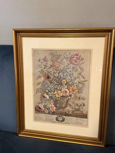 Cornice botanica incorniciata