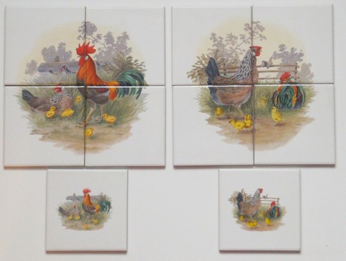 Set piastrelle 10x10 - con, pollo