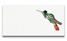 120x60cm Remaster uccellino