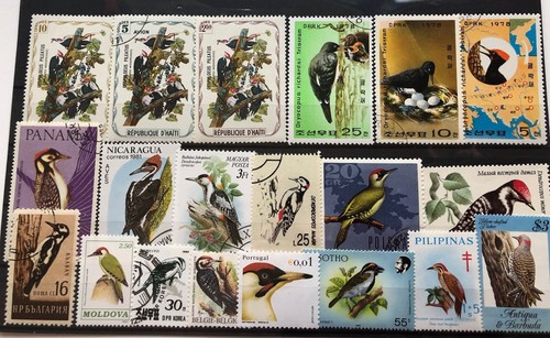 Collezione picchi vari - collezione, picchi,