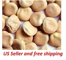 125 Lupini Beans lupine