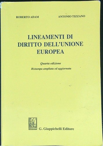 Lineamenti diritto - di,