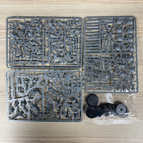 Saurus warriors warhammer - saurus,