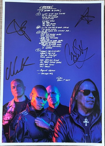 Skunk anansie painful truth - anansie,