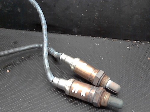 Sonda lambda collettore kat - sonda,