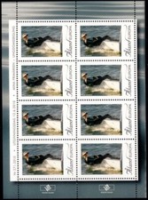 Aland 2010 Sport, Vela