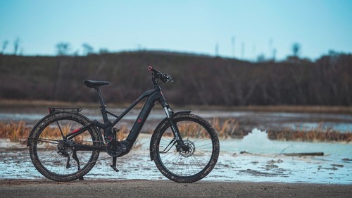 Bici elettrica brinke - elettrica,