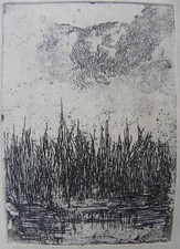 Giovanni FATTORI (Livorno 1825 - Firenze 1908) Laghetto Acquaforte Incisione