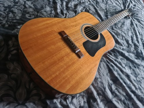 Chitarra acustica washburn - chitarra,