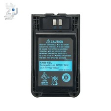 Batteria agli ioni di litio