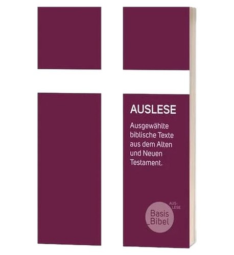 Libro religione basisbibel - di,