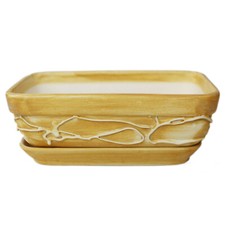 Ciotola Piante di Ceramica -