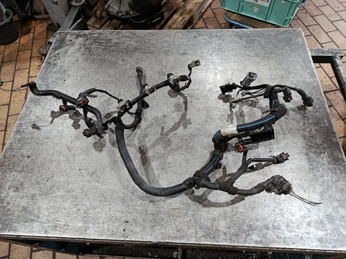 Cablaggio motore opel - motore,
