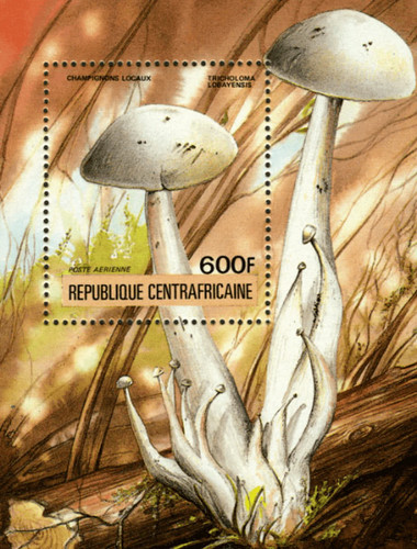 Stamps repubblica - stamps,