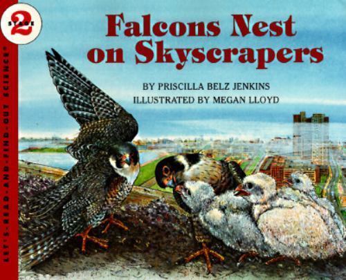Falcons nest skyscrapers - nest,