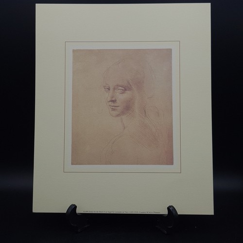 Stampa leonardo vinci - stampa,