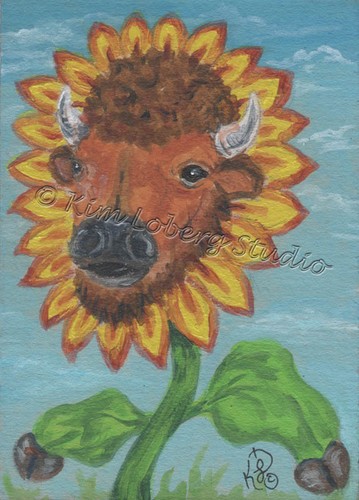 Aceo originale bufalo bisonte - aceo,