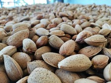 2 kg di Mandorle sgusciate BIO