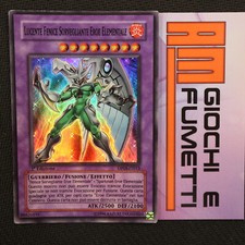 LUCENTE FENICE SORVEGLIANTE