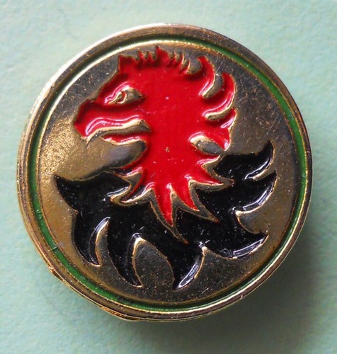 Distintivo spilla pin badge - distintivo,