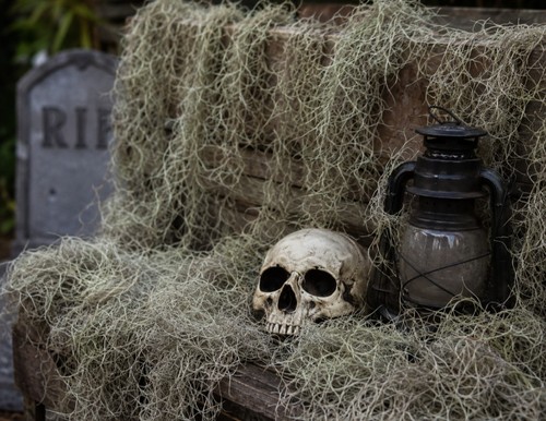 Decorazione halloween vero - decorazione,